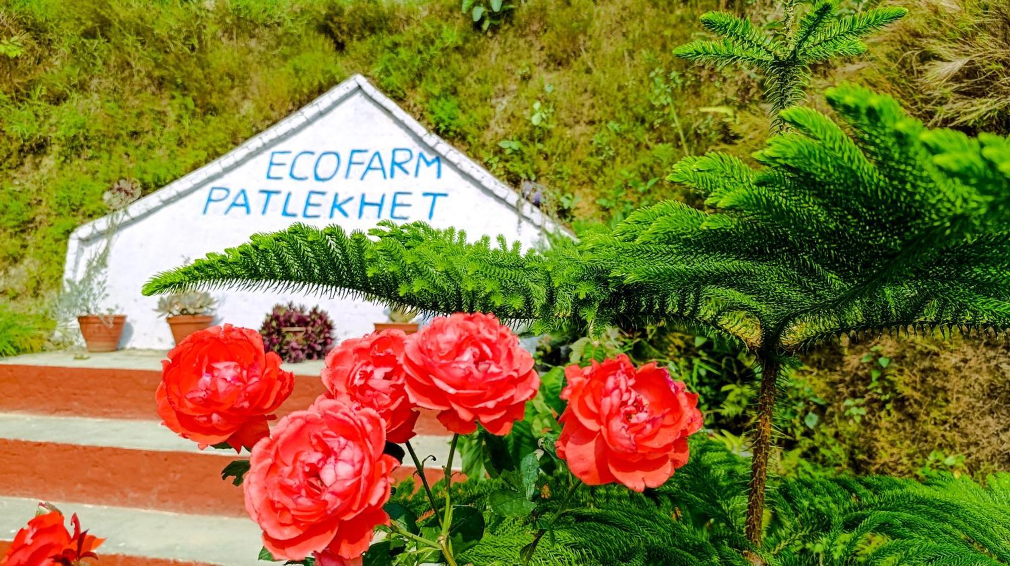 Patlekhet Eco Farmhouse Дуліхел Екстер'єр фото